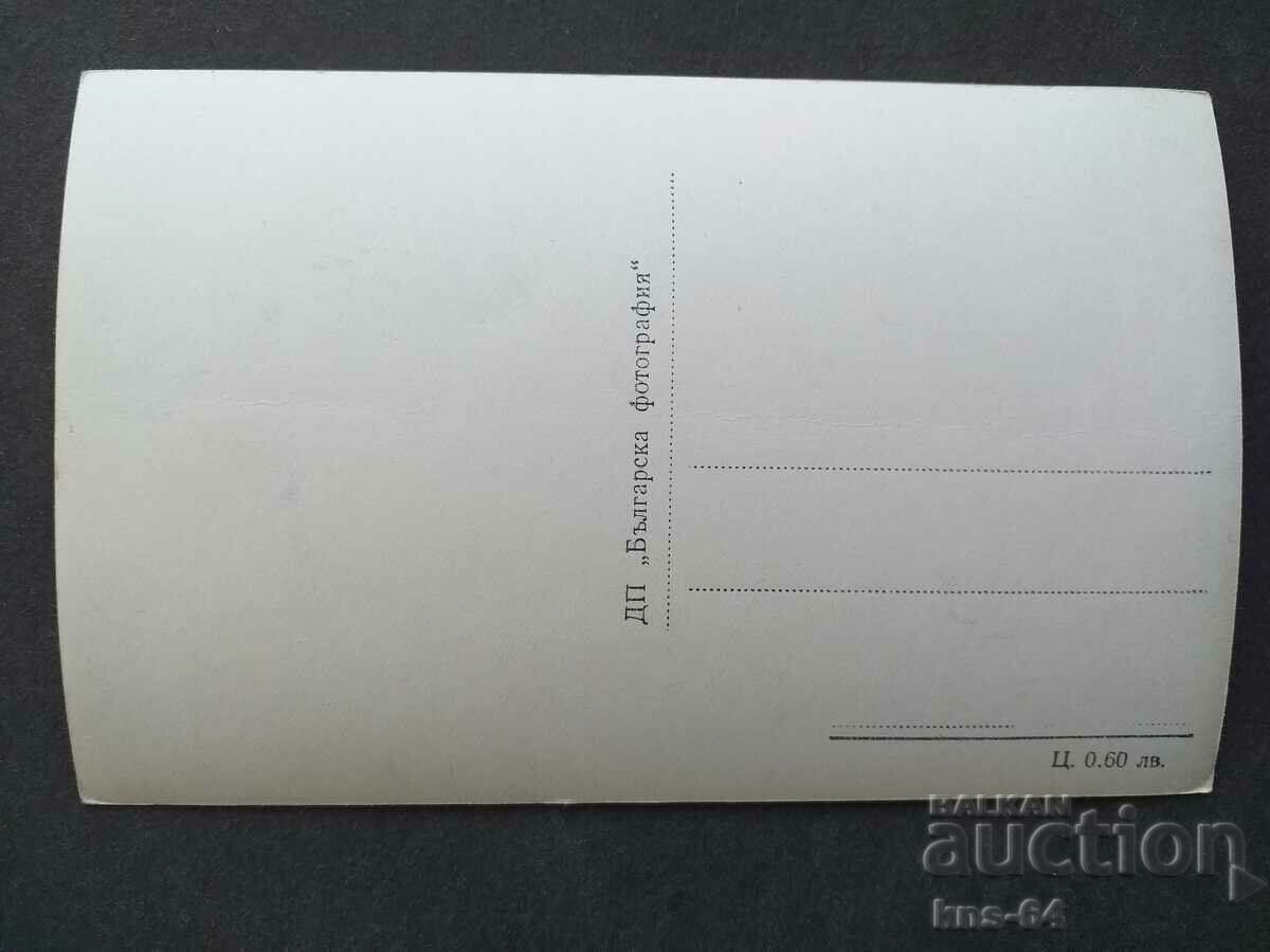 Asenovgrad with price 1.50 BGN | € 0.77 Asenovgrad with price 1.50 BGN | € 0.77