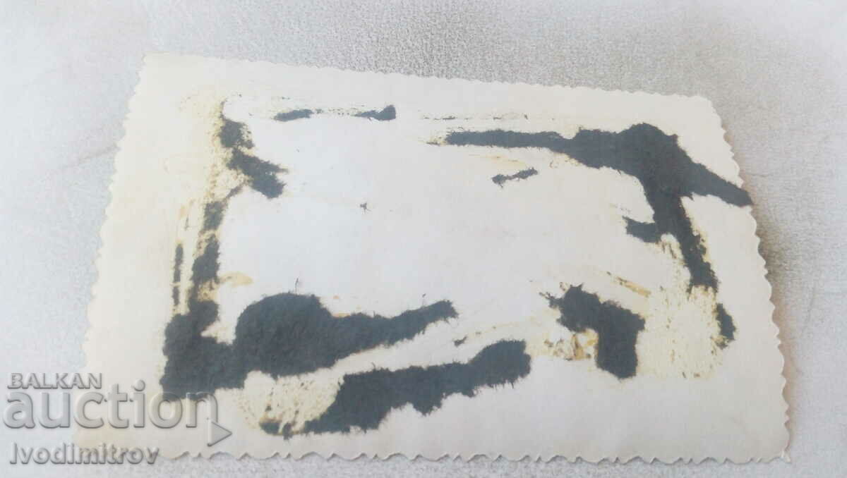 Photo Men and women in the forest with price 1.35 BGN | € 0.69 Photo Men and women in the forest with price 1.35 BGN | € 0.69