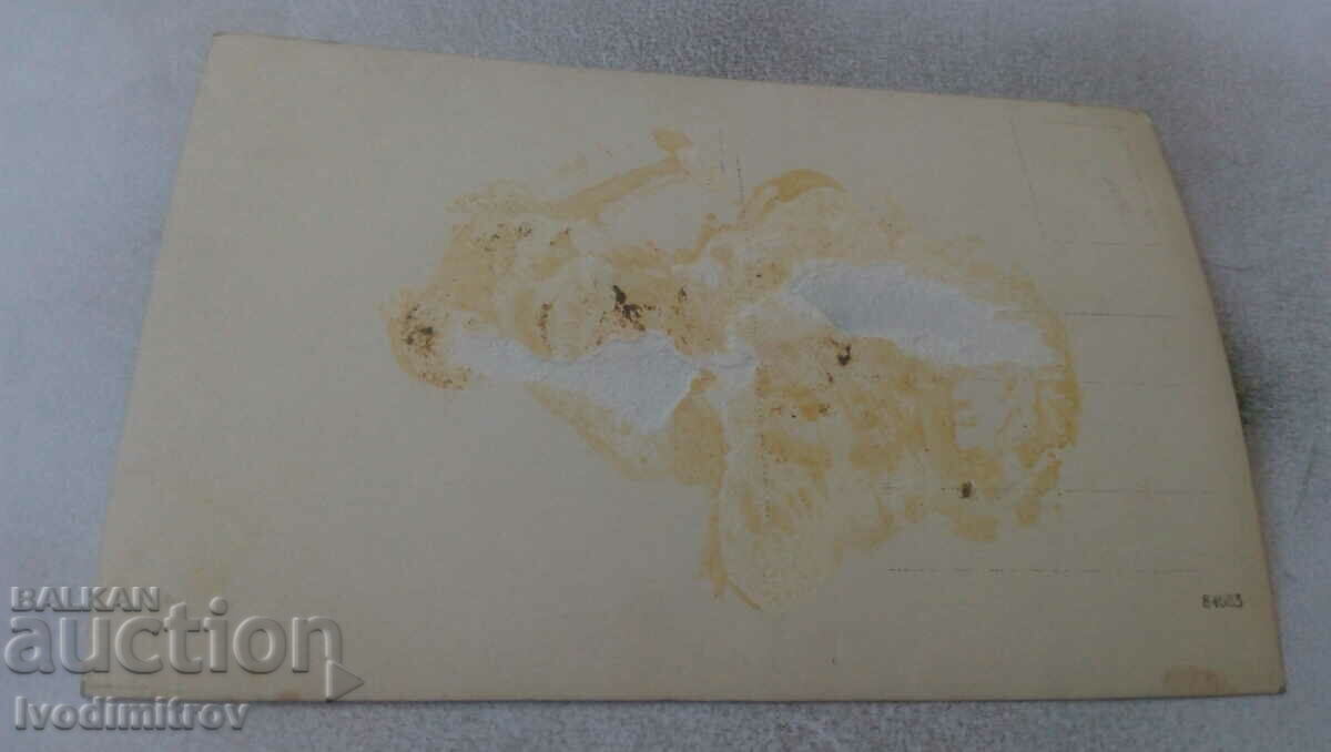 Photo Two men and women on two benches in the park with price 1.35 BGN | € 0.69 Photo Two men and women on two benches in the park with price 1.35 BGN | € 0.69