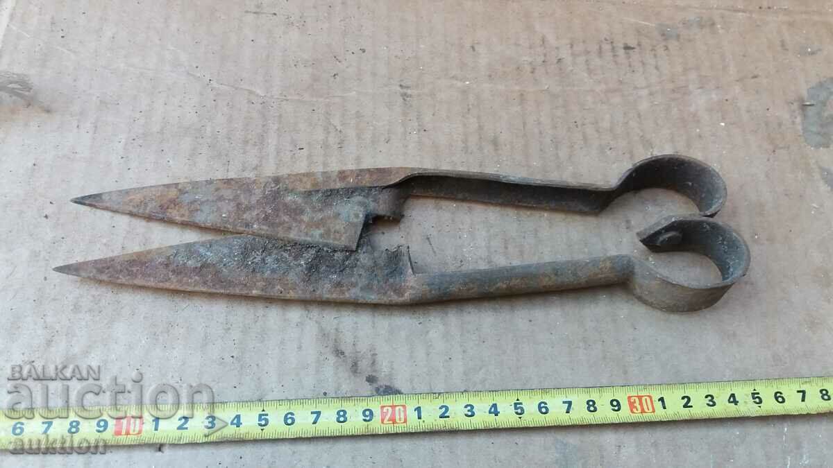 Delivery of OLD FORGED SHEEP SHEAR Delivery of OLD FORGED SHEEP SHEAR