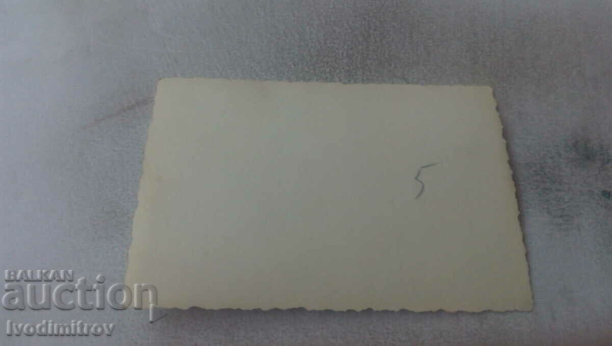 Photo Men and women on a picnic with price 0.75 BGN | € 0.38 Photo Men and women on a picnic with price 0.75 BGN | € 0.38