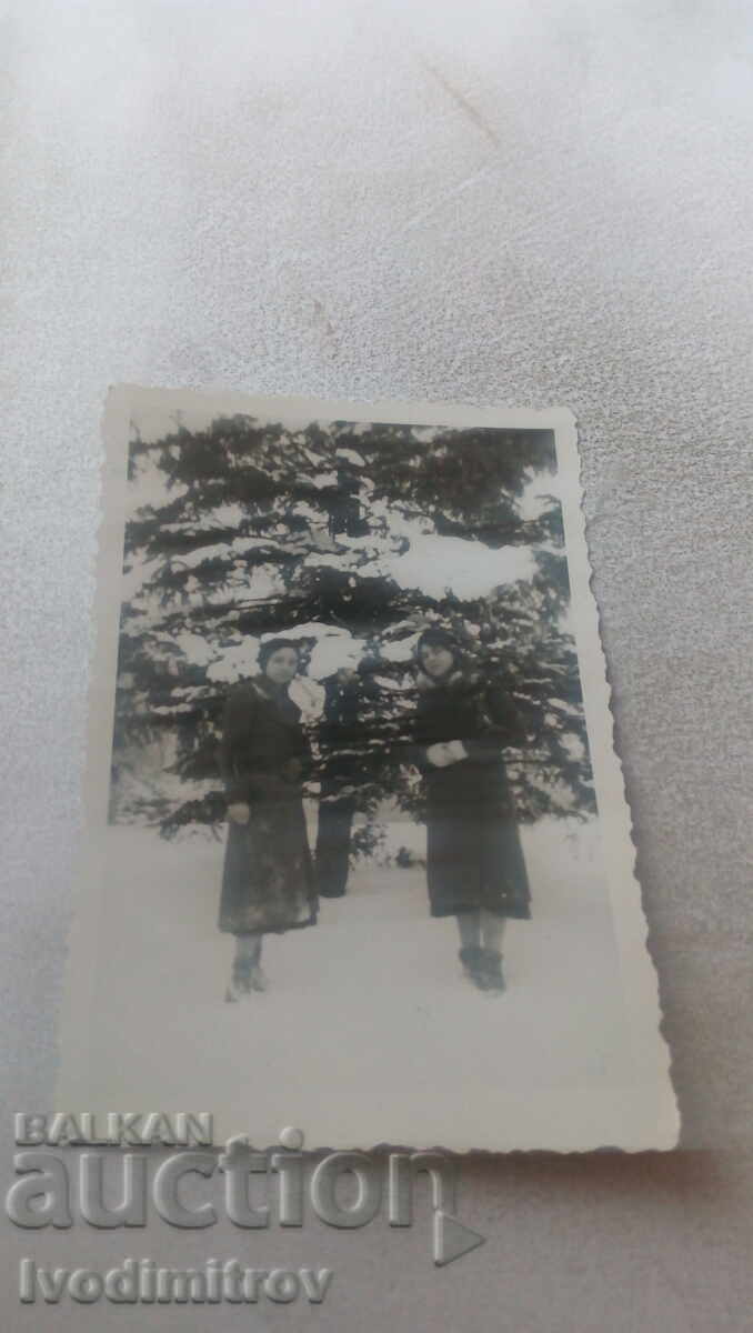 Снимка Две млади момичета в парка през зимата 1933
