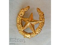 Badge sign - five-pointed star