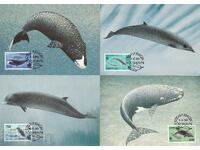 Harta WWF maxim KM Insulele Feroe 1990 Balenele