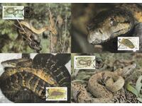 Χάρτης WWF max KM Jamaica 1984 Rare Snakes