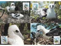 Χάρτης WWF max KM Νησί Χριστουγέννων 1990 Πουλιά