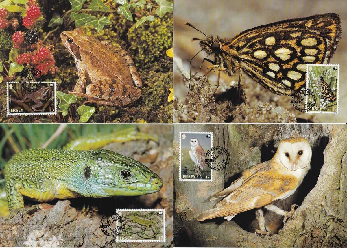 Cardul WWF Max KM Jersey 1989 Cardul WWF Max KM Jersey 1989