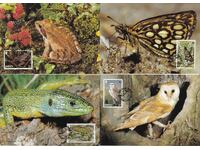 WWF Card Max KM Jersey 1989