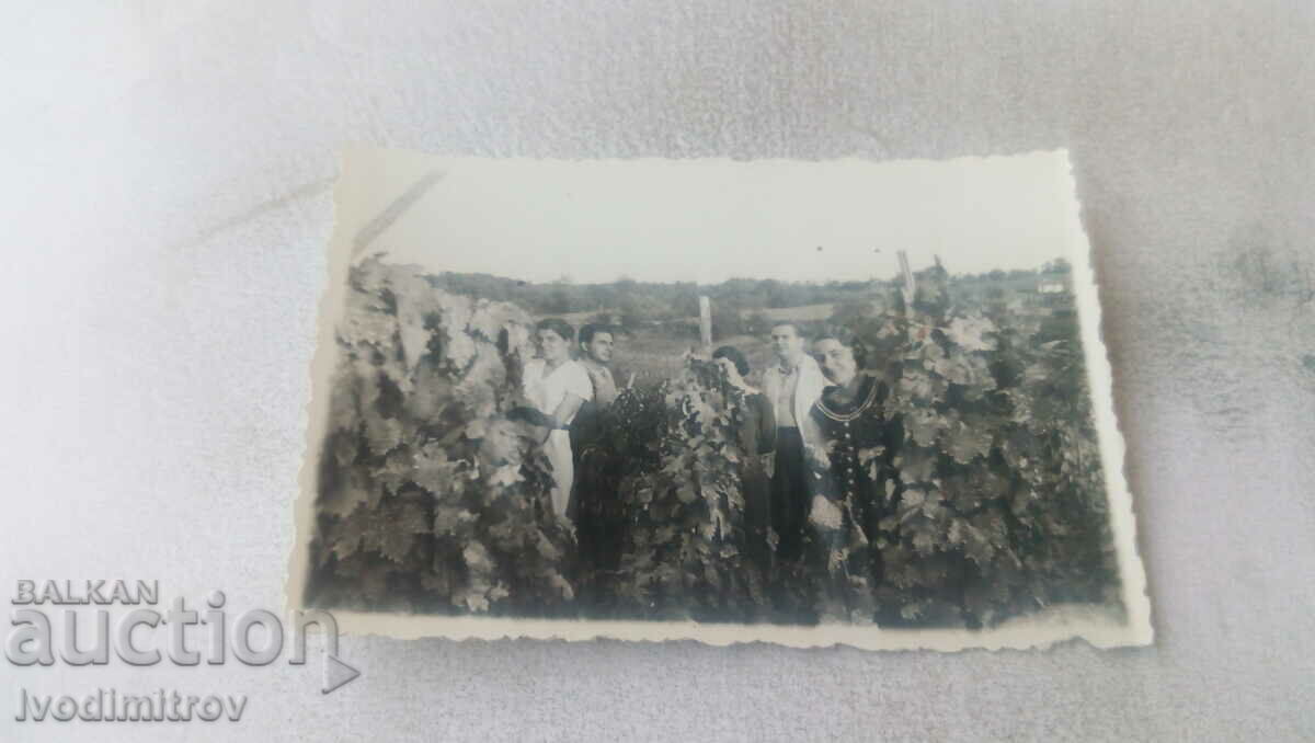 Снимка Ломъ Мъже и жени в лозето 1935