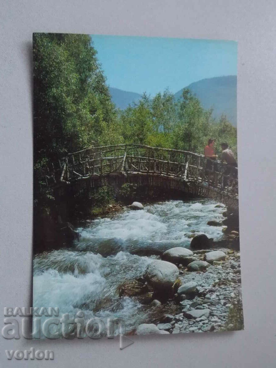 Card: Stanke Dimitrov, Dupnița - Parcul Rila - 1973.