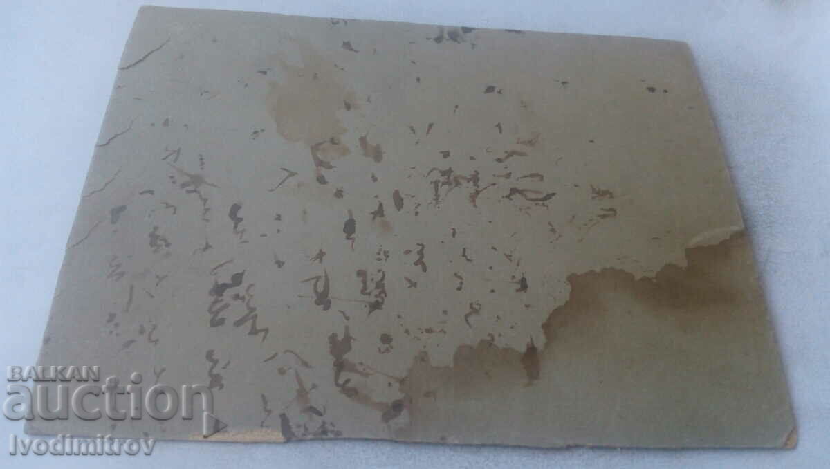 Photo Officer three women and a boy in Carton Park with price 6.45 BGN | € 3.30 Photo Officer three women and a boy in Carton Park with price 6.45 BGN | € 3.30