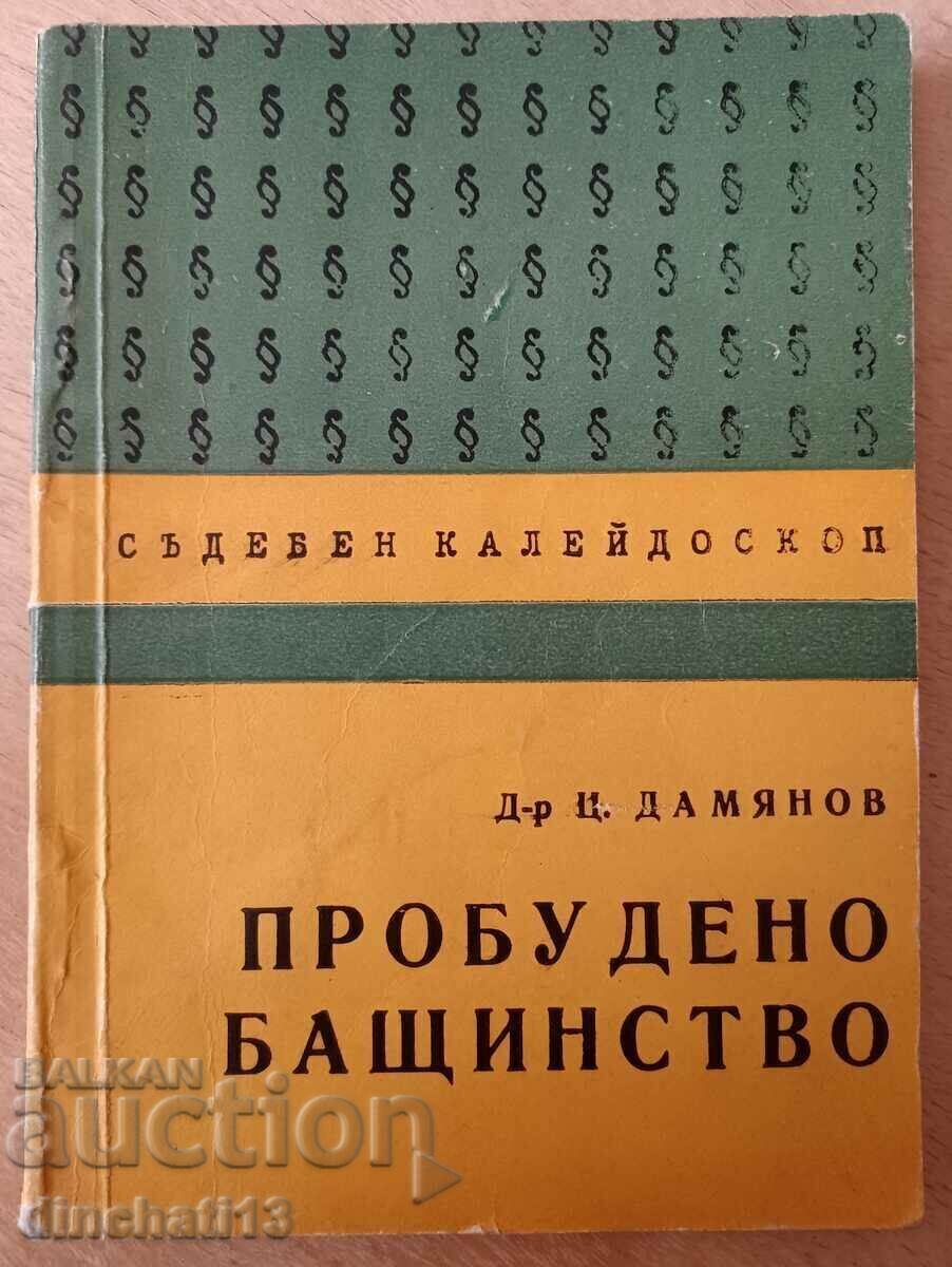 Awakened fatherhood - Tsonyu Damyanov