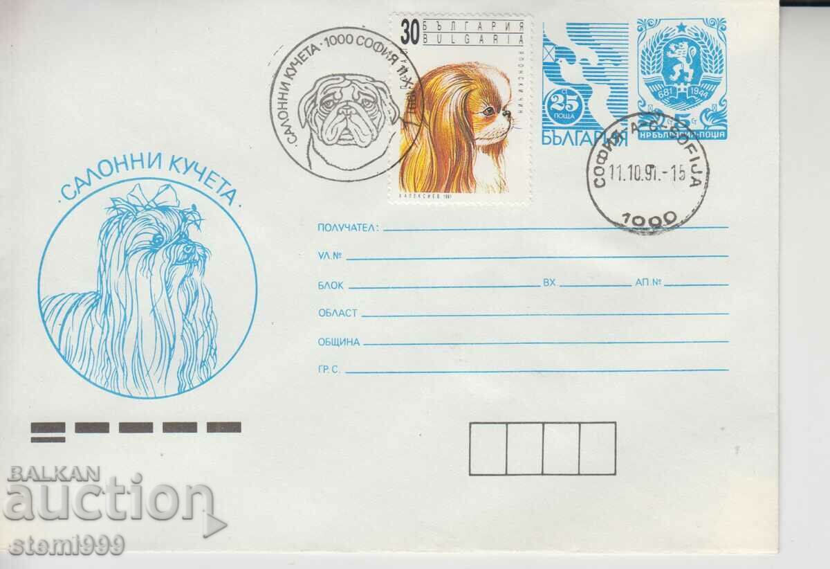 Puppy Dog Envelope