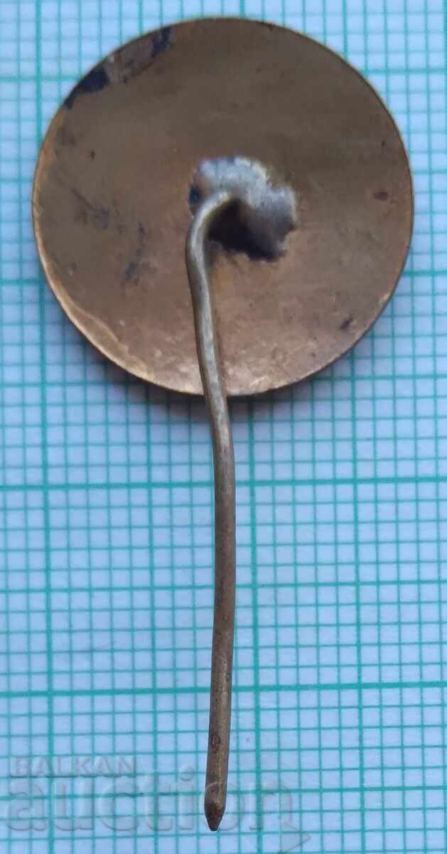 11732 Badge - 20 years Chemimport Bulgaria - bronze enamel with price 5.00 BGN | € 2.56 11732 Badge - 20 years Chemimport Bulgaria - bronze enamel with price 5.00 BGN | € 2.56