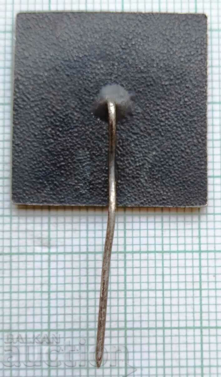 11735 Badge - DSO Pirin Bulgaria with price 5.00 BGN | € 2.56 11735 Badge - DSO Pirin Bulgaria with price 5.00 BGN | € 2.56