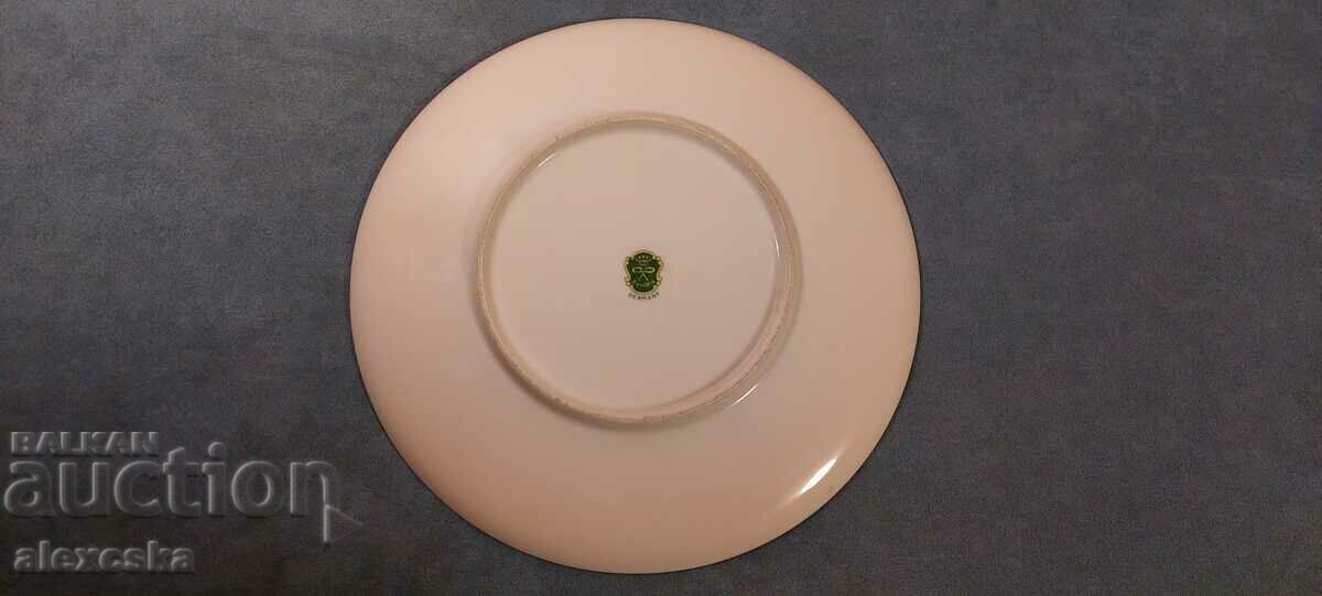 Delivery of Large porcelain plate-"BORUSSIA" Delivery of Large porcelain plate-"BORUSSIA"