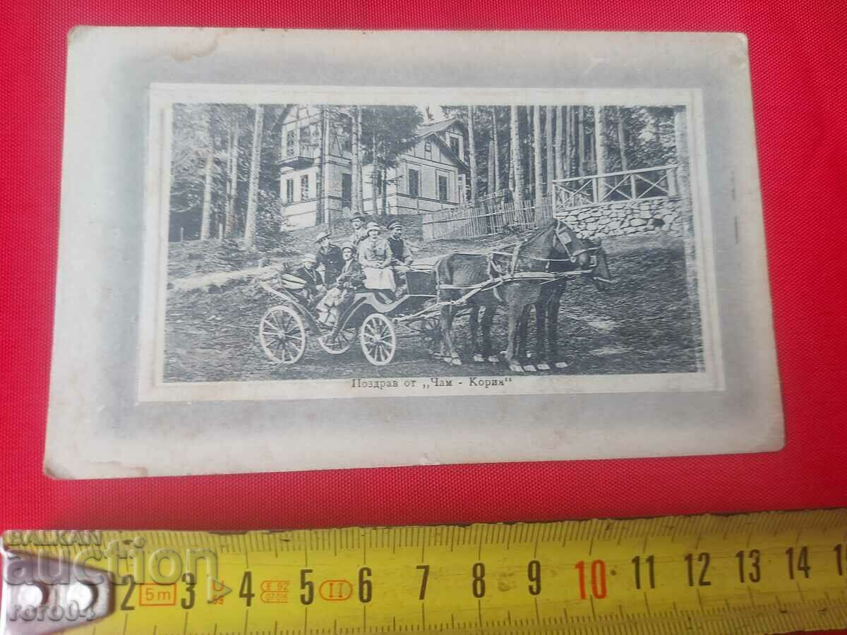 CHAMKORIA - N. IRININ with price 49.50 BGN | € 25.31 CHAMKORIA - N. IRININ with price 49.50 BGN | € 25.31