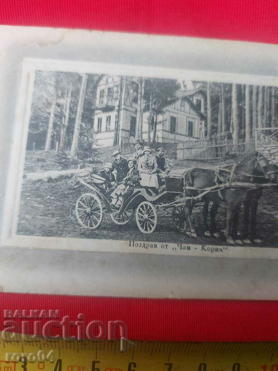 Auction CHAMKORIA - N. IRININ Auction CHAMKORIA - N. IRININ