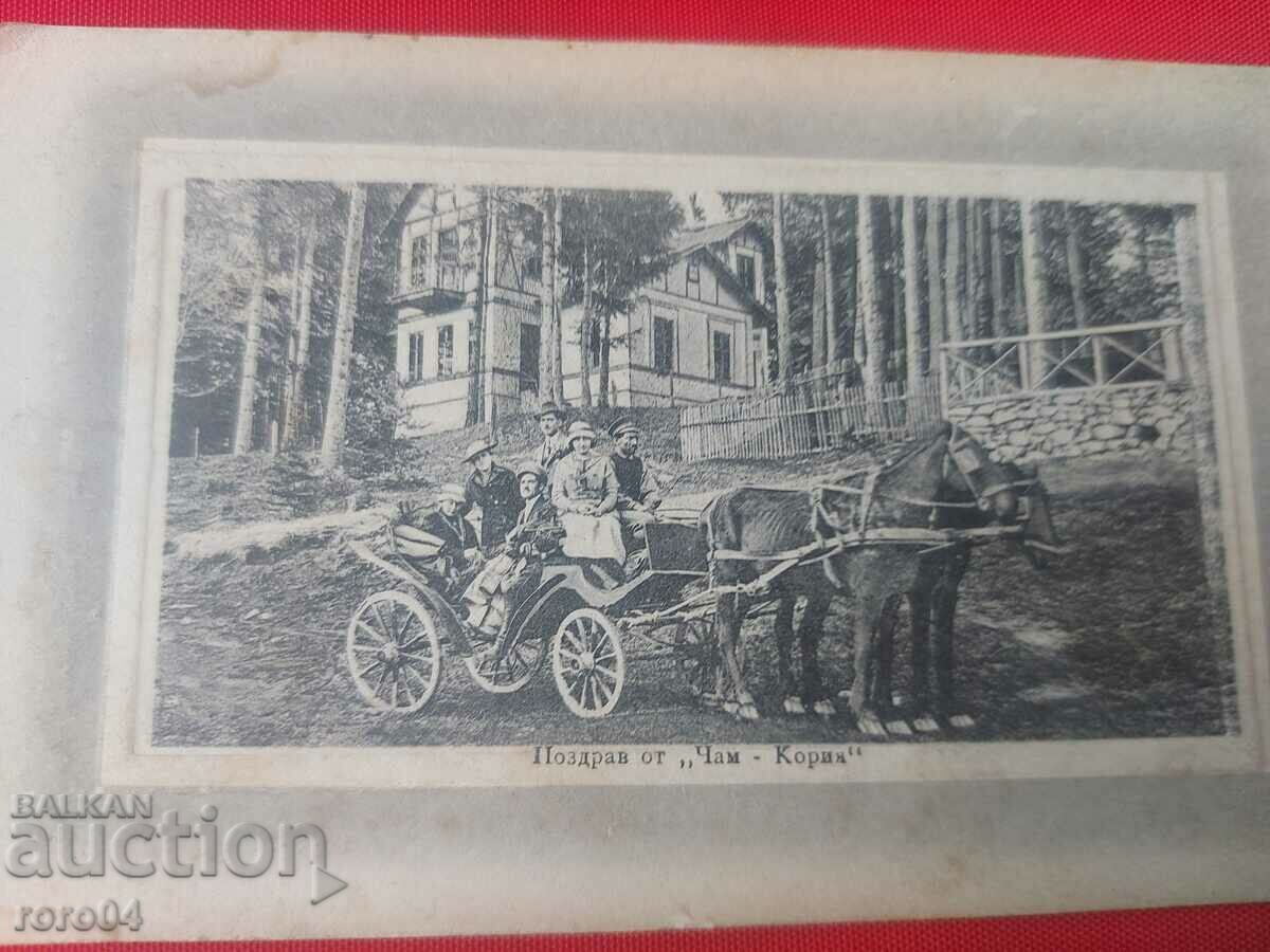 Delivery of CHAMKORIA - N. IRININ Delivery of CHAMKORIA - N. IRININ