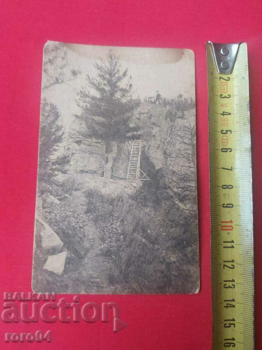 CHAMKORIA - IVAN KARASTOYANOV with price 55.00 BGN | € 28.12 CHAMKORIA - IVAN KARASTOYANOV with price 55.00 BGN | € 28.12