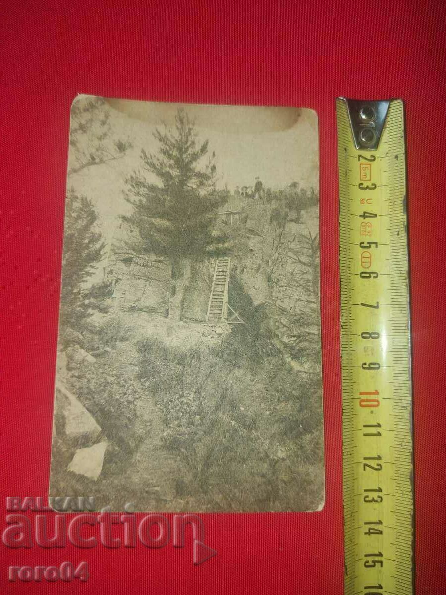 Auction CHAMKORIA - IVAN KARASTOYANOV Auction CHAMKORIA - IVAN KARASTOYANOV