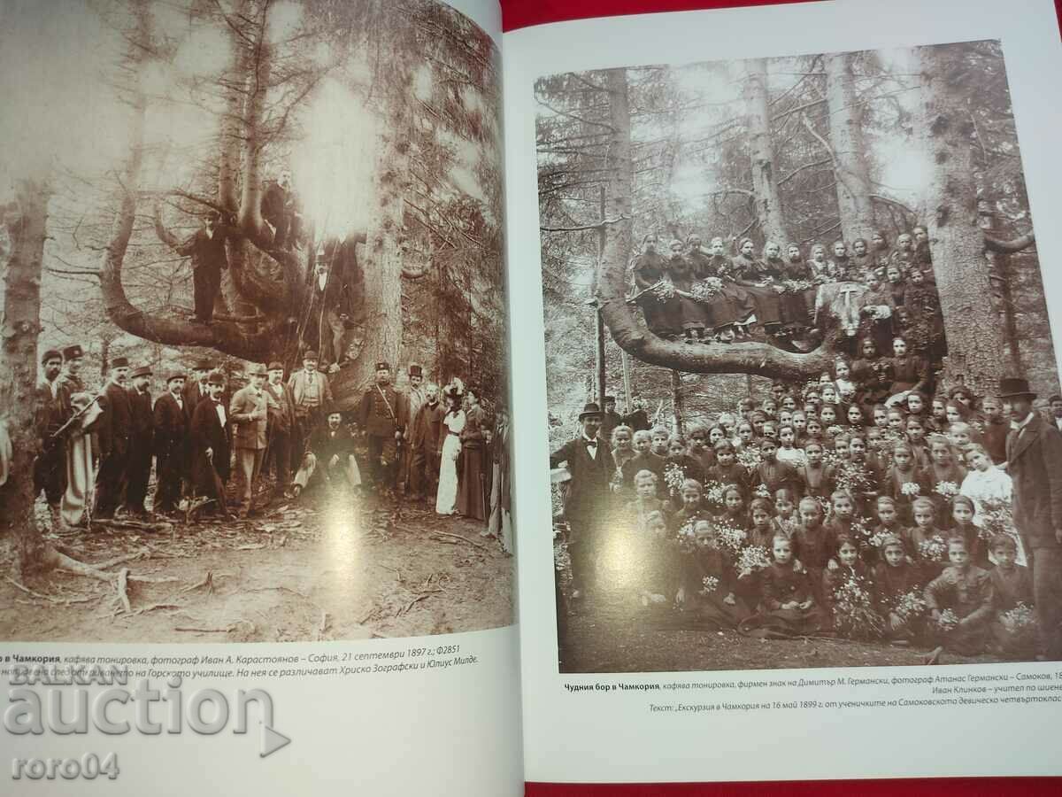 FROM CHAMKORIA TO BOROVETS - ALBUM - 5