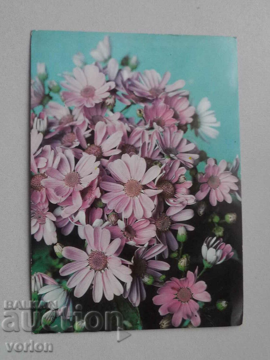 Картичка: цветя  – 1973 г.