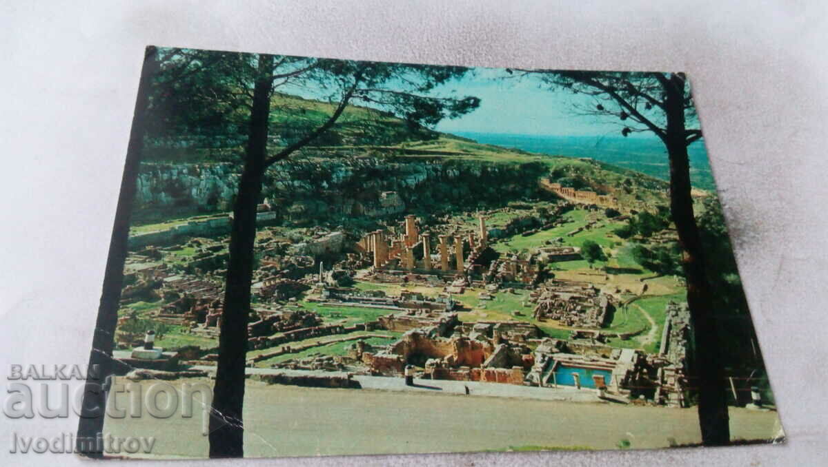 Postcard Cyrene Temple of Apollo