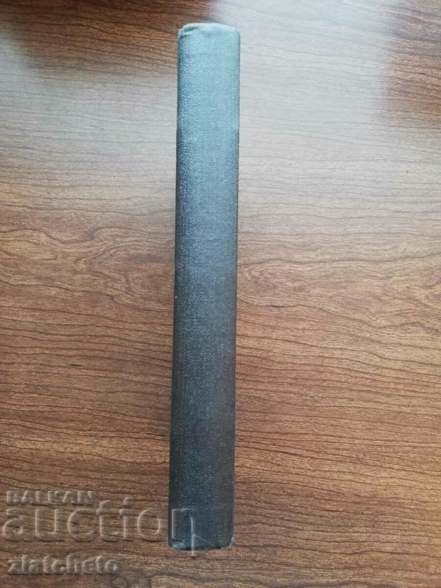 Delivery of Vladislav Shak - Bulgarian-Czech conversation RRR Delivery of Vladislav Shak - Bulgarian-Czech conversation RRR