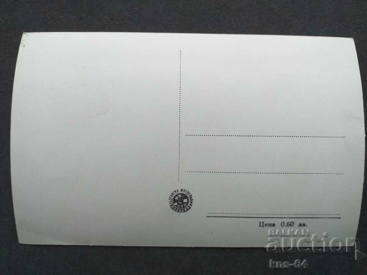 Bankya with price 1.40 BGN | € 0.72