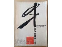 The Japanese: Ethnopsychological Essays - VA Pronnikov