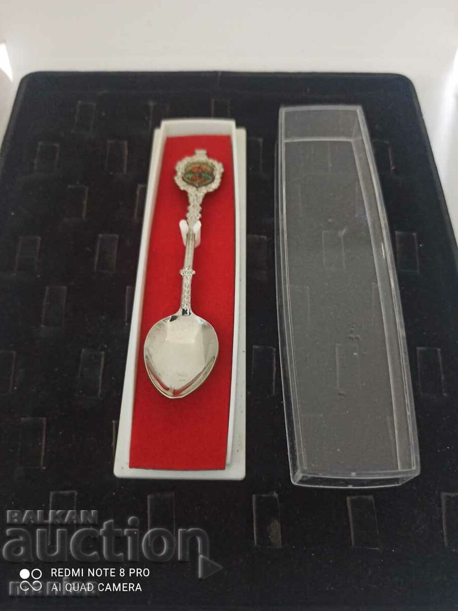 Δημοπρασία σουβενίρ κουτάλι