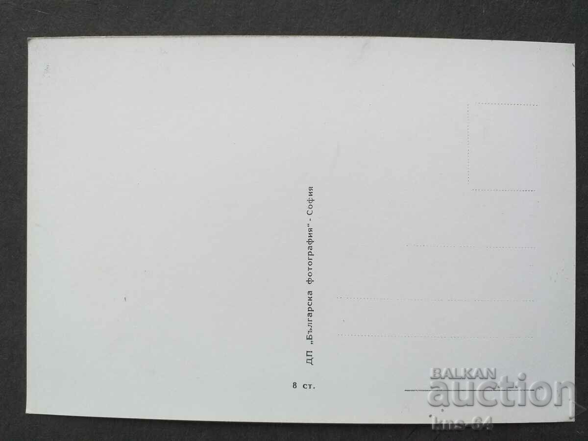 Sasha Krusarska with price 1.20 BGN | € 0.61