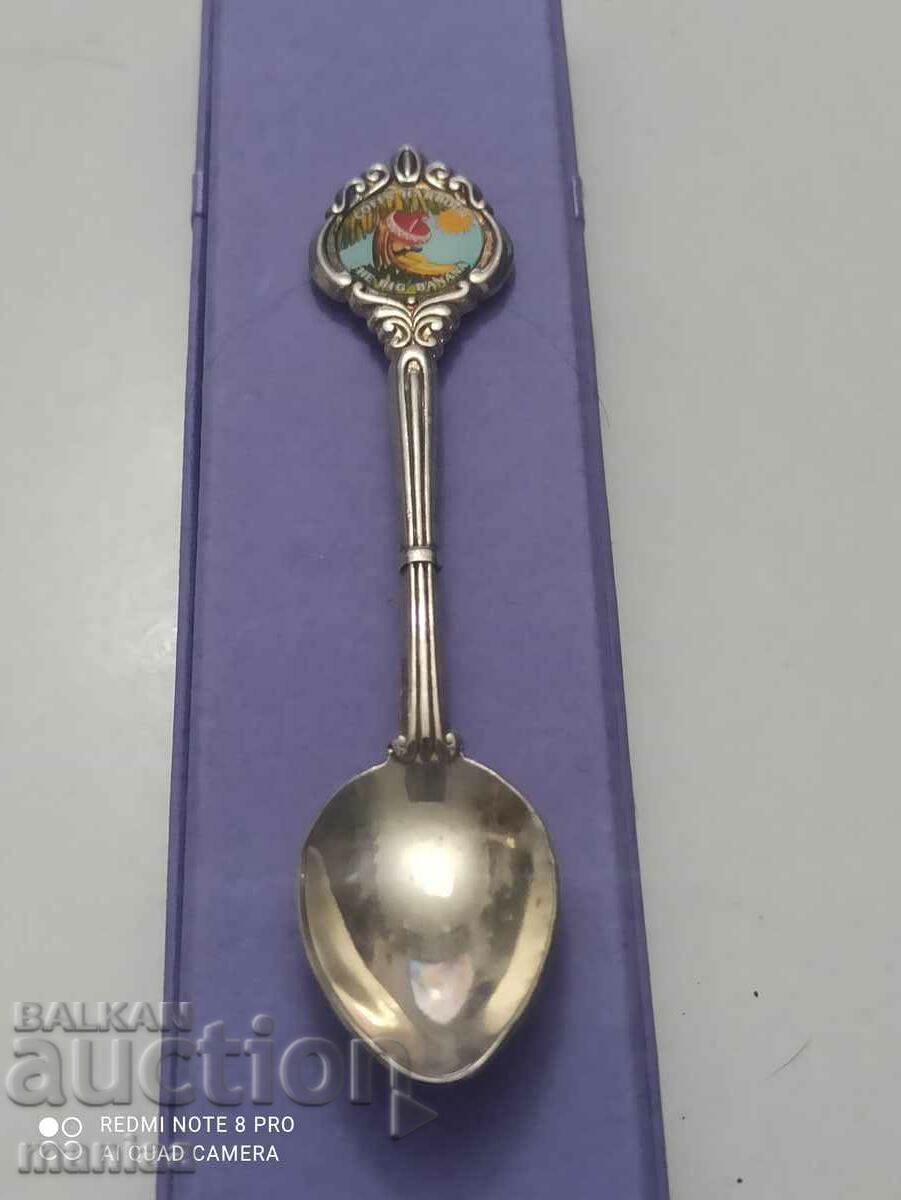 Souvenir spoon