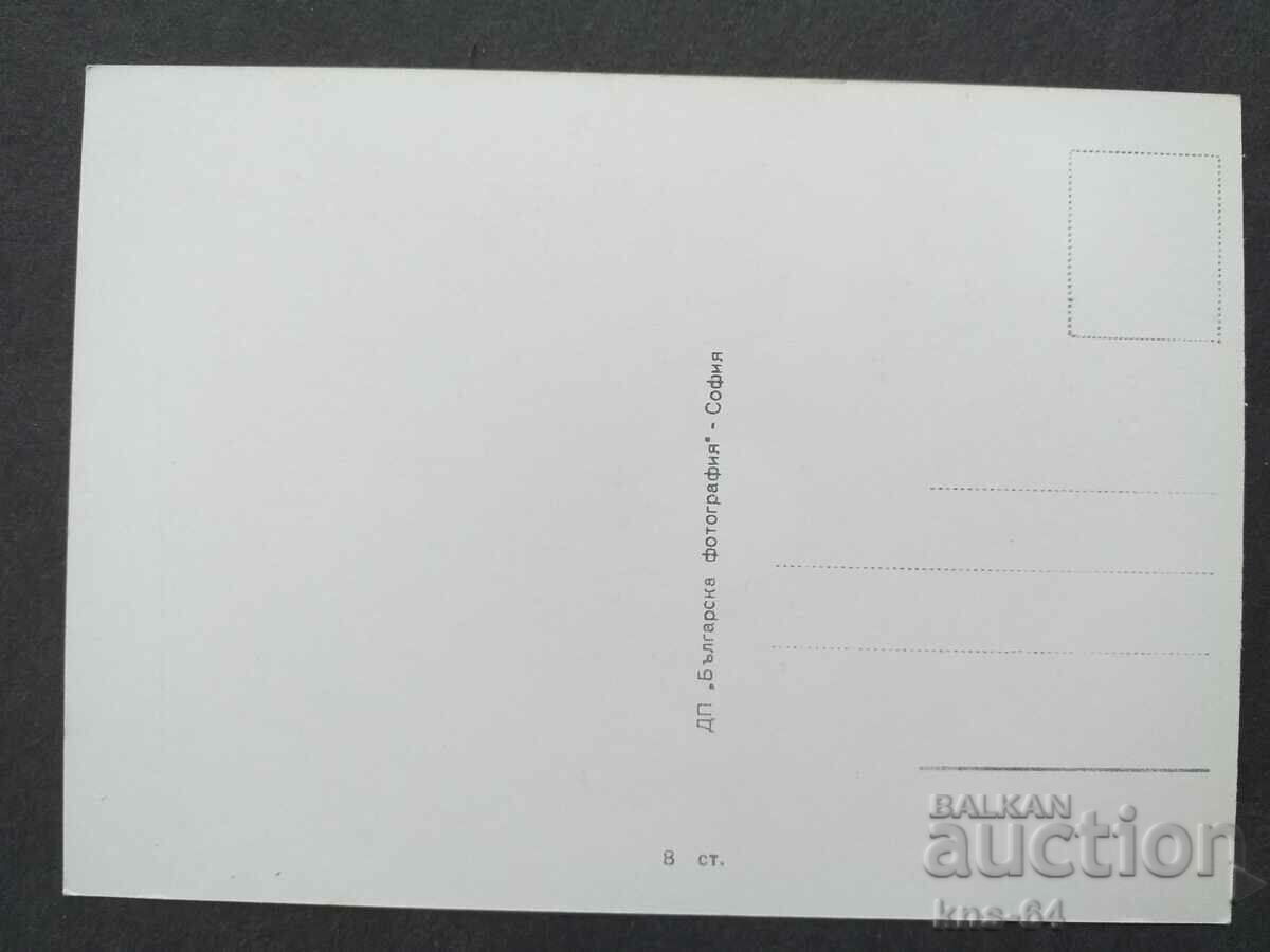 Maria Schell with price 1.20 BGN | € 0.61