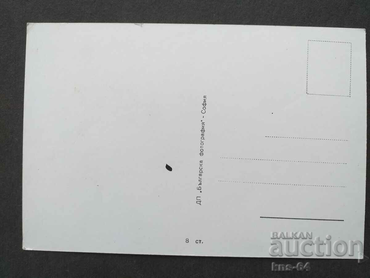 Nicole Berger with price 1.20 BGN | € 0.61