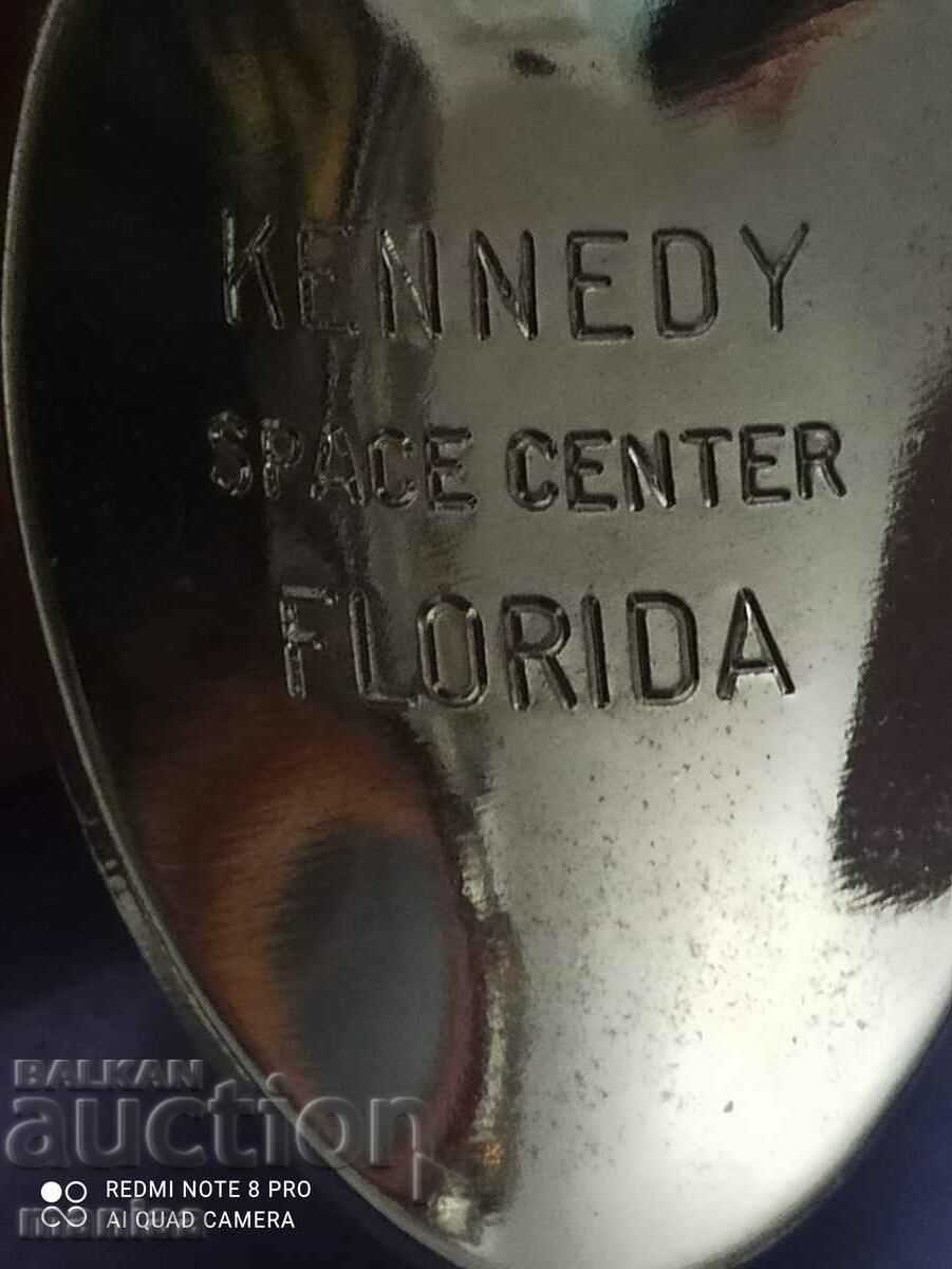 Auction Soup spoon Auction Soup spoon