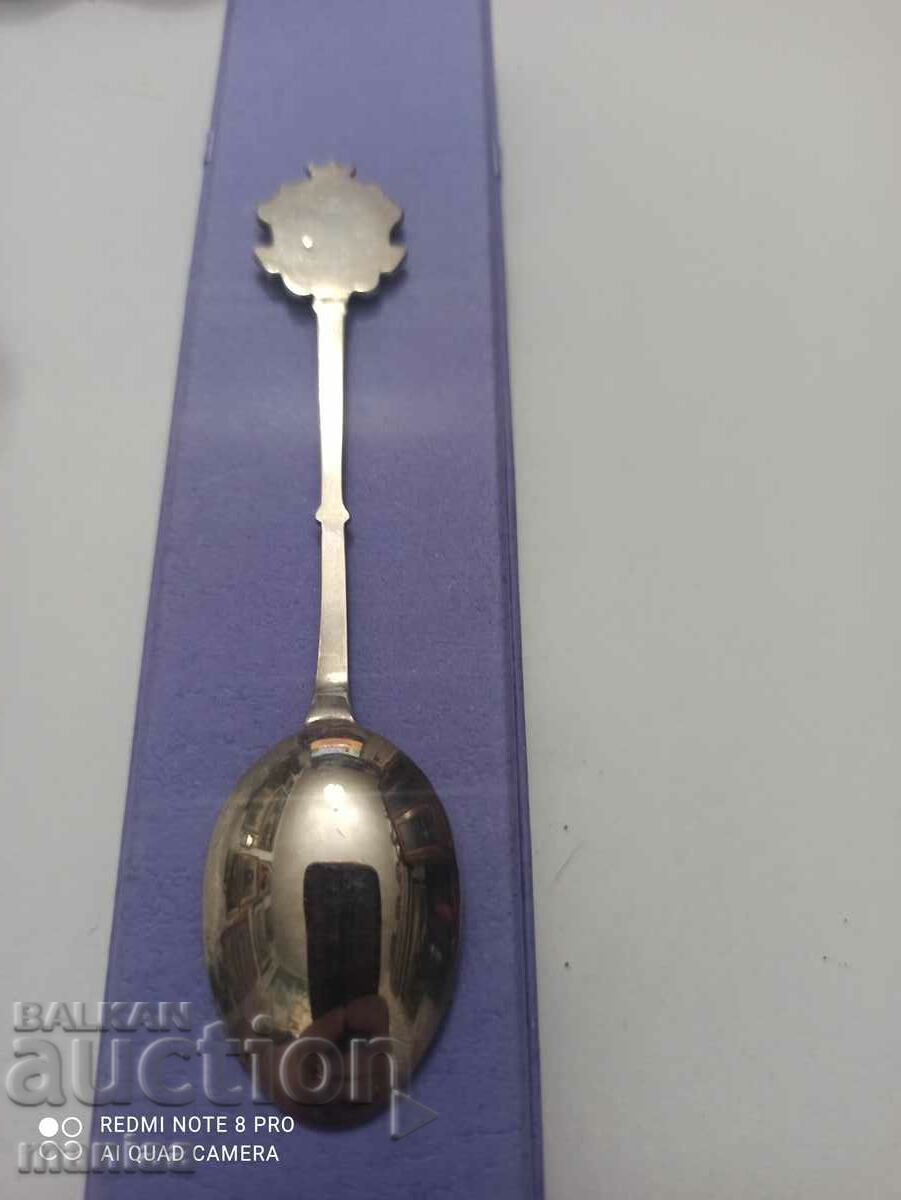 Delivery of Soup spoon Delivery of Soup spoon