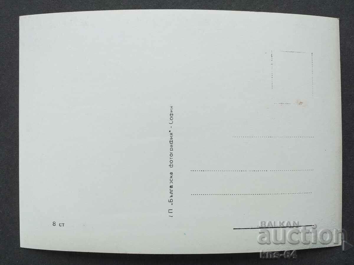 Nicole Berger with price 1.20 BGN | € 0.61 Nicole Berger with price 1.20 BGN | € 0.61