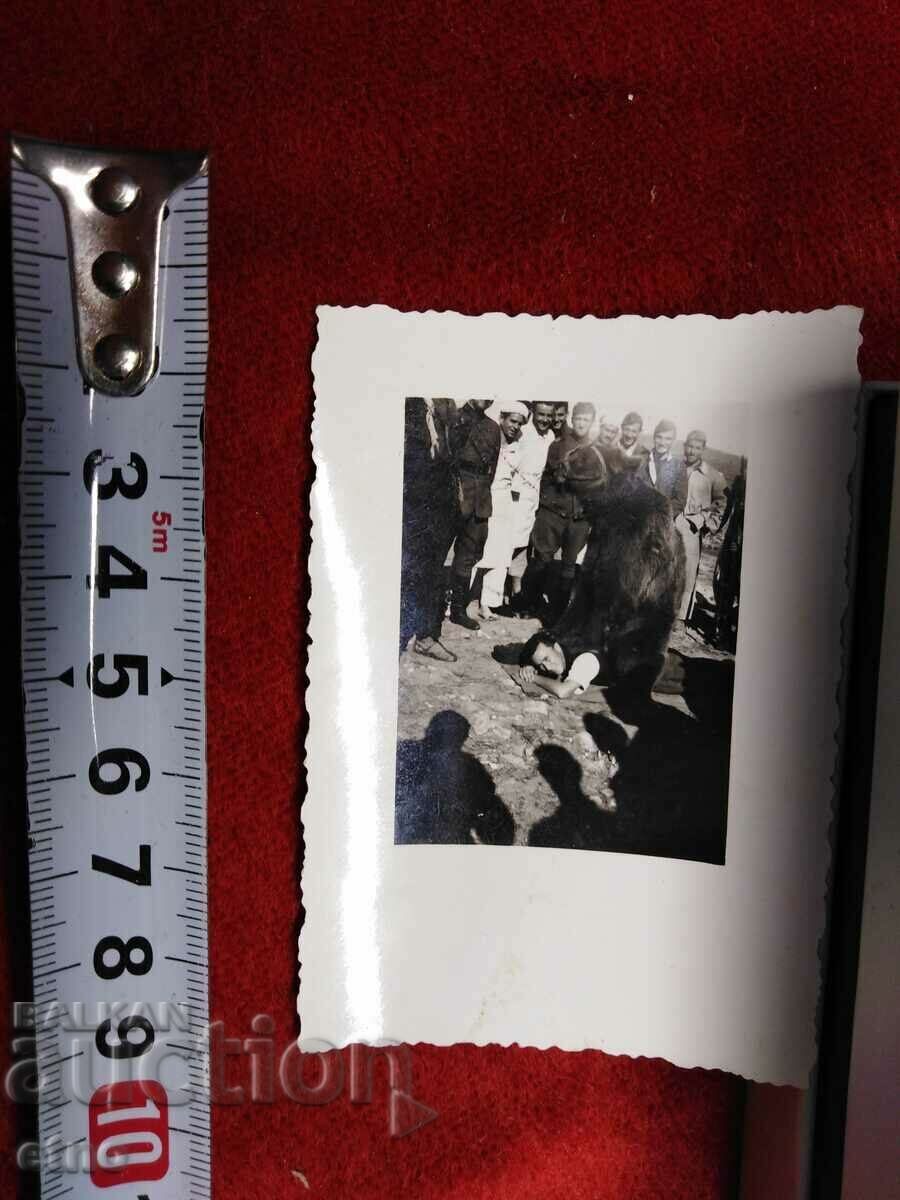 Auction OLD PHOTO-BEAR, MECHKADARIN Auction OLD PHOTO-BEAR, MECHKADARIN