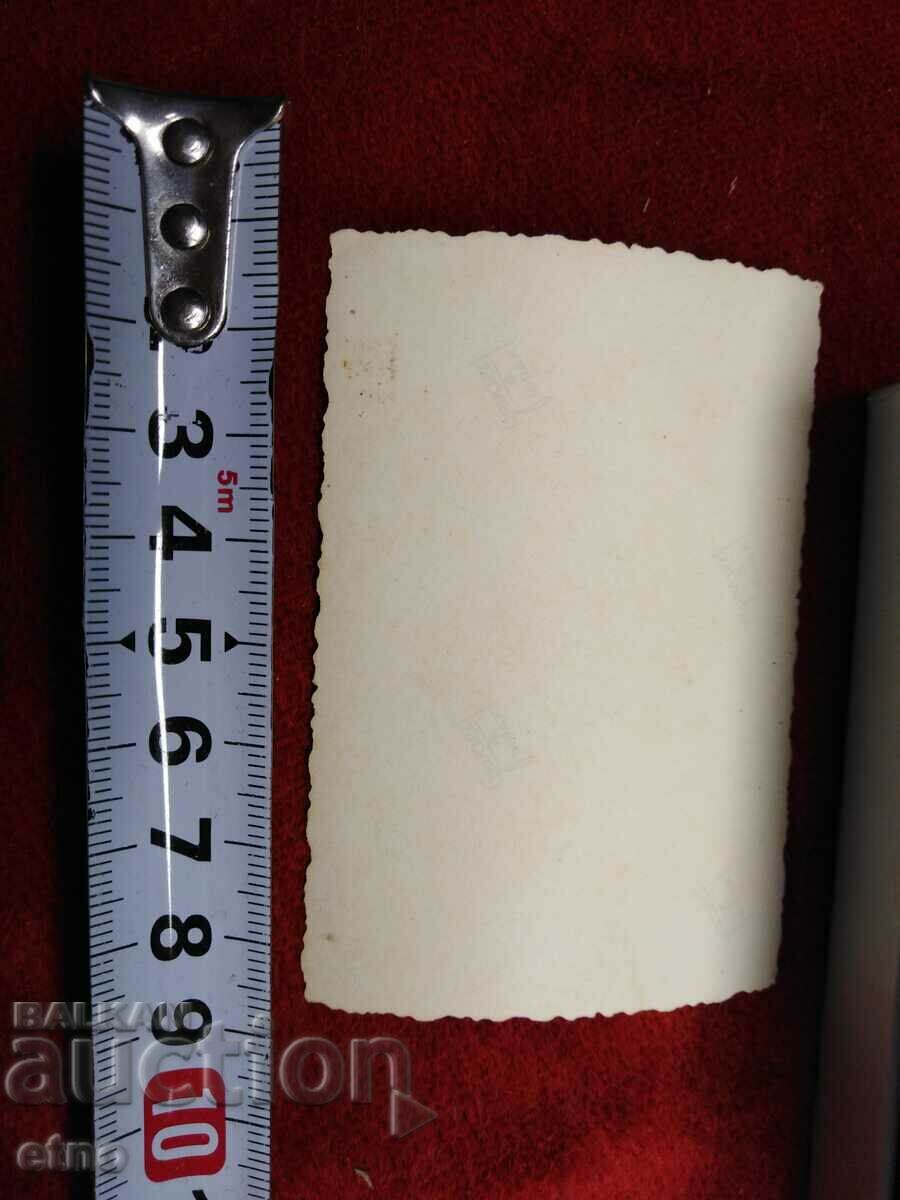 Delivery of OLD PHOTO-BEAR, MECHKADARIN Delivery of OLD PHOTO-BEAR, MECHKADARIN