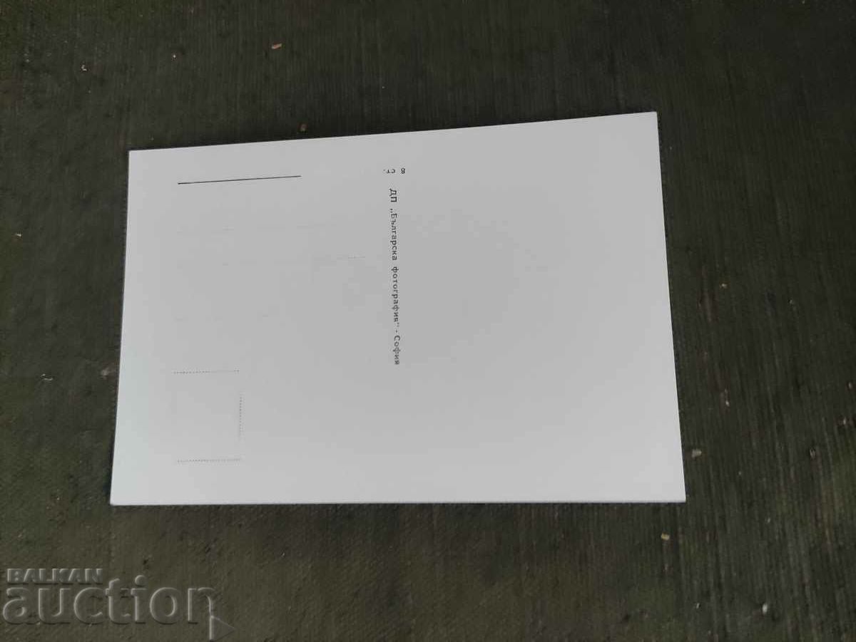 Ginka Stancheva with price 10.00 BGN | € 5.11 Ginka Stancheva with price 10.00 BGN | € 5.11