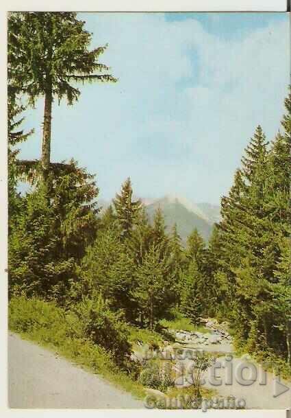 Card Bulgaria Pirin Landscape*