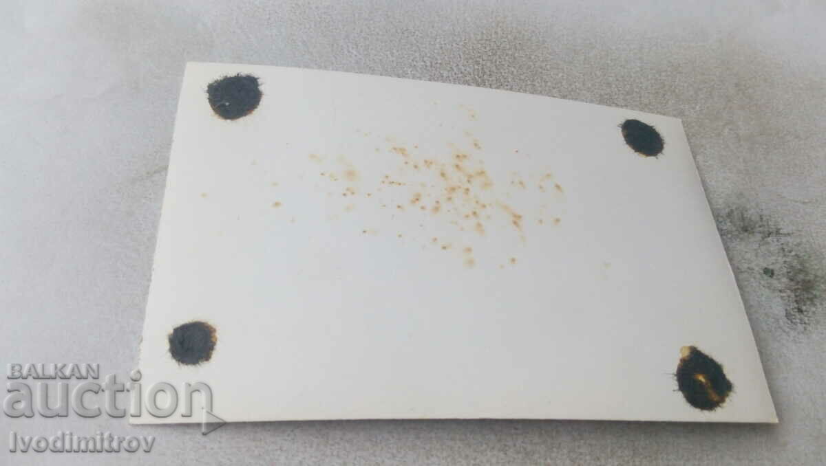 Photo Wolf dog breed with price 2.35 BGN | € 1.20 Photo Wolf dog breed with price 2.35 BGN | € 1.20