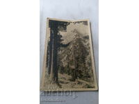 Καρτ ποστάλ Pirin Peak El-Tepe Gr. Πάσχα