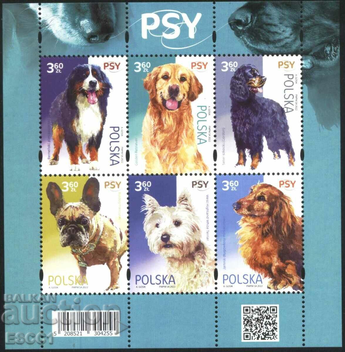 Καθαρά γραμματόσημα σε μικρό φύλλο Fauna Dogs 2022 από την Πολωνία