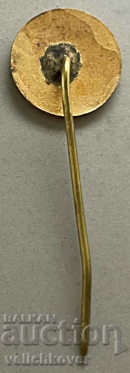 33948 Bulgaria sign plant Radio electronic equipment enamel with price 3.00 BGN | € 1.53 33948 Bulgaria sign plant Radio electronic equipment enamel with price 3.00 BGN | € 1.53