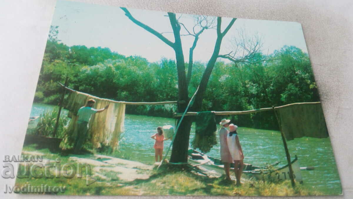 Пощенска картичка Река Камчия Изглед 1972