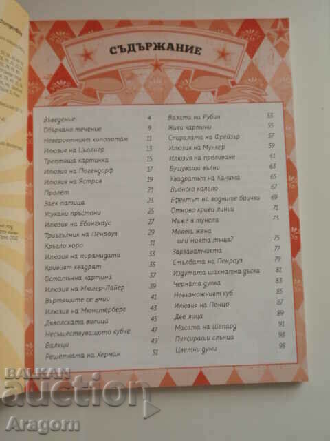 Auction "Optical Illusions" Auction "Optical Illusions"