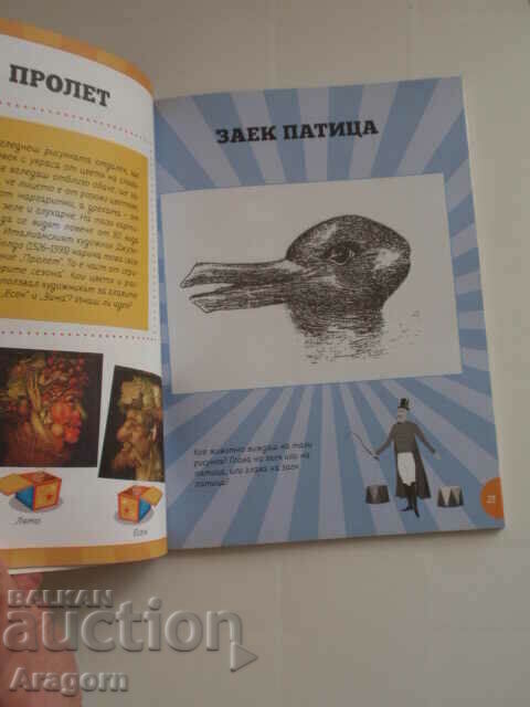 Delivery of "Optical Illusions" Delivery of "Optical Illusions"